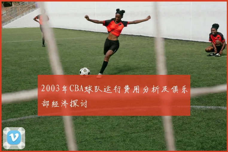 2003年CBA球队运行费用分析及俱乐部经济探讨