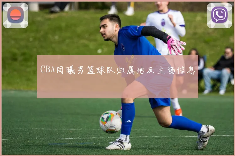 CBA同曦男篮球队归属地及主场信息