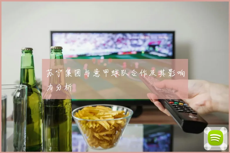 苏宁集团与意甲球队合作及其影响力分析