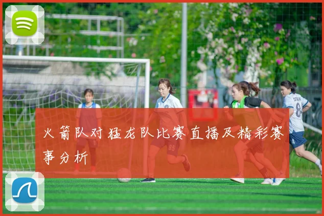 火箭队对猛龙队比赛直播及精彩赛事分析