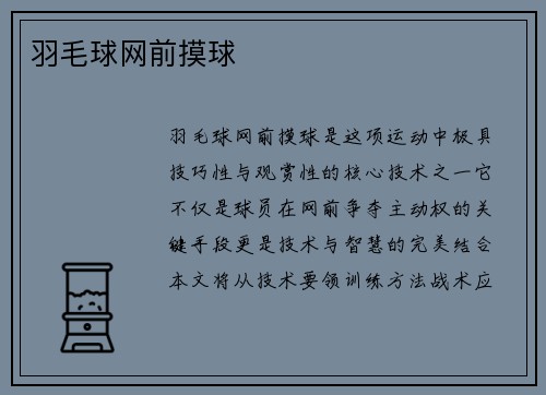 羽毛球网前摸球